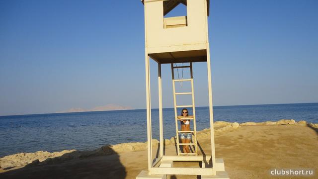 21815_djdoymji2o8.jpg
